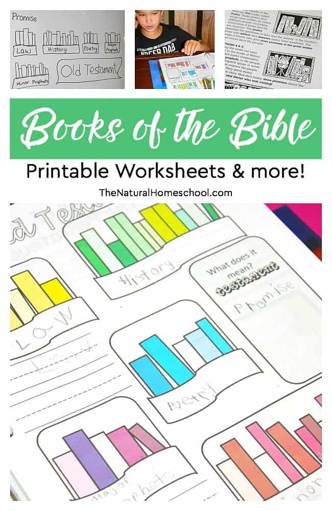 books of the bible worksheet