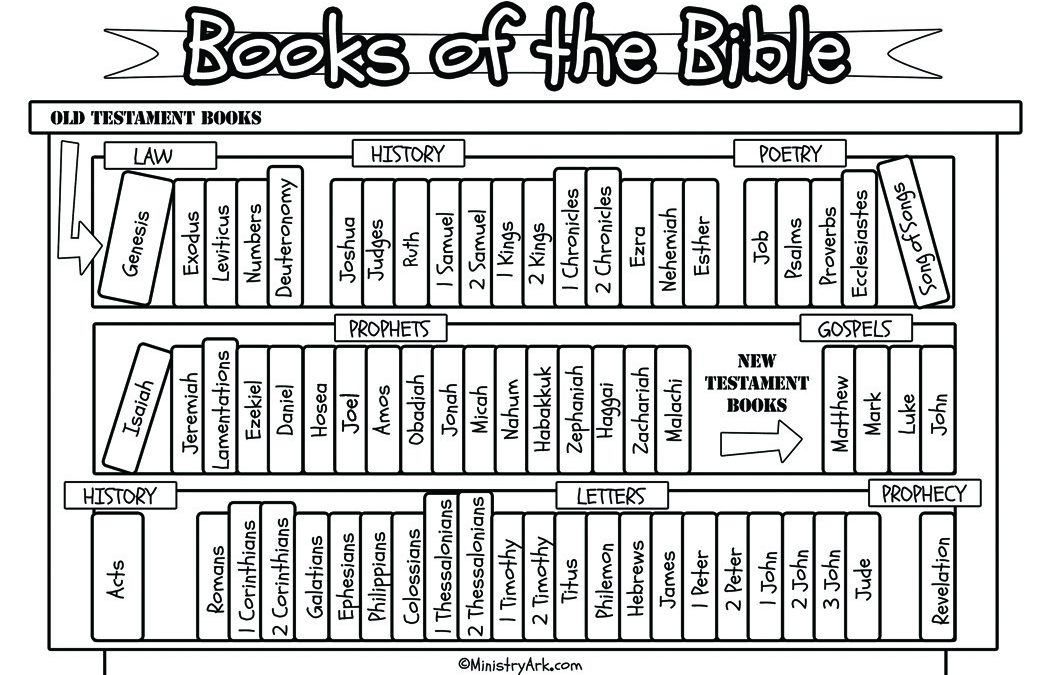 books of the bible worksheet