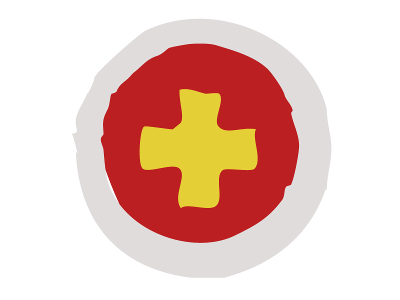 boy scout first aid merit badge