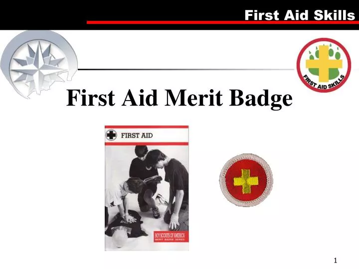 boy scout first aid merit badge