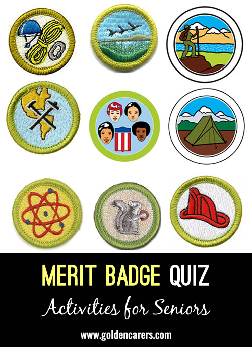 boy scout merit badge game