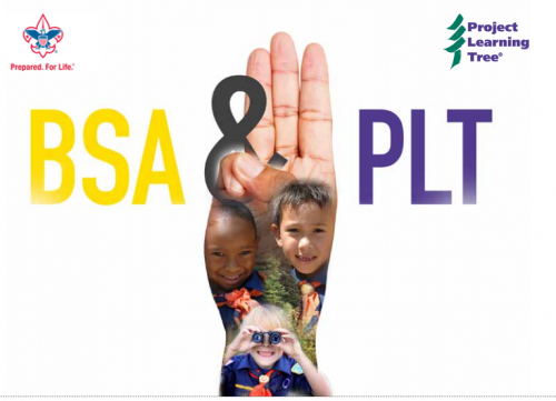 PLT Activities Can Now Help Scouts Earn Their Merit Badges ...