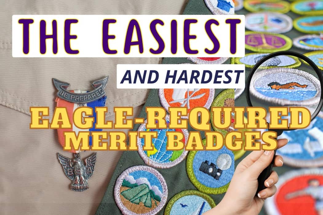 boy scout merit badges citizenship
