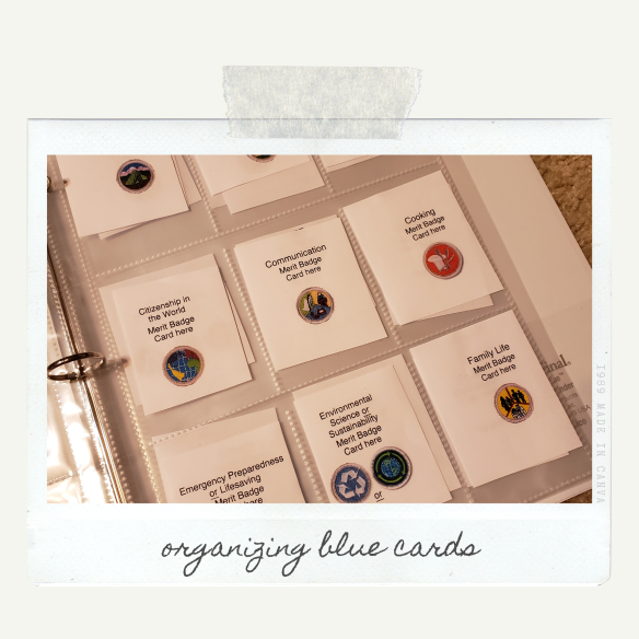 boy scout merit badges worksheet