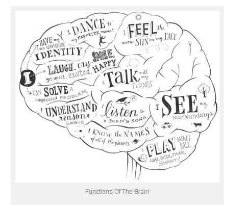 Study: We Should Teach Our Kids Earlier About How Our Brains Work ...