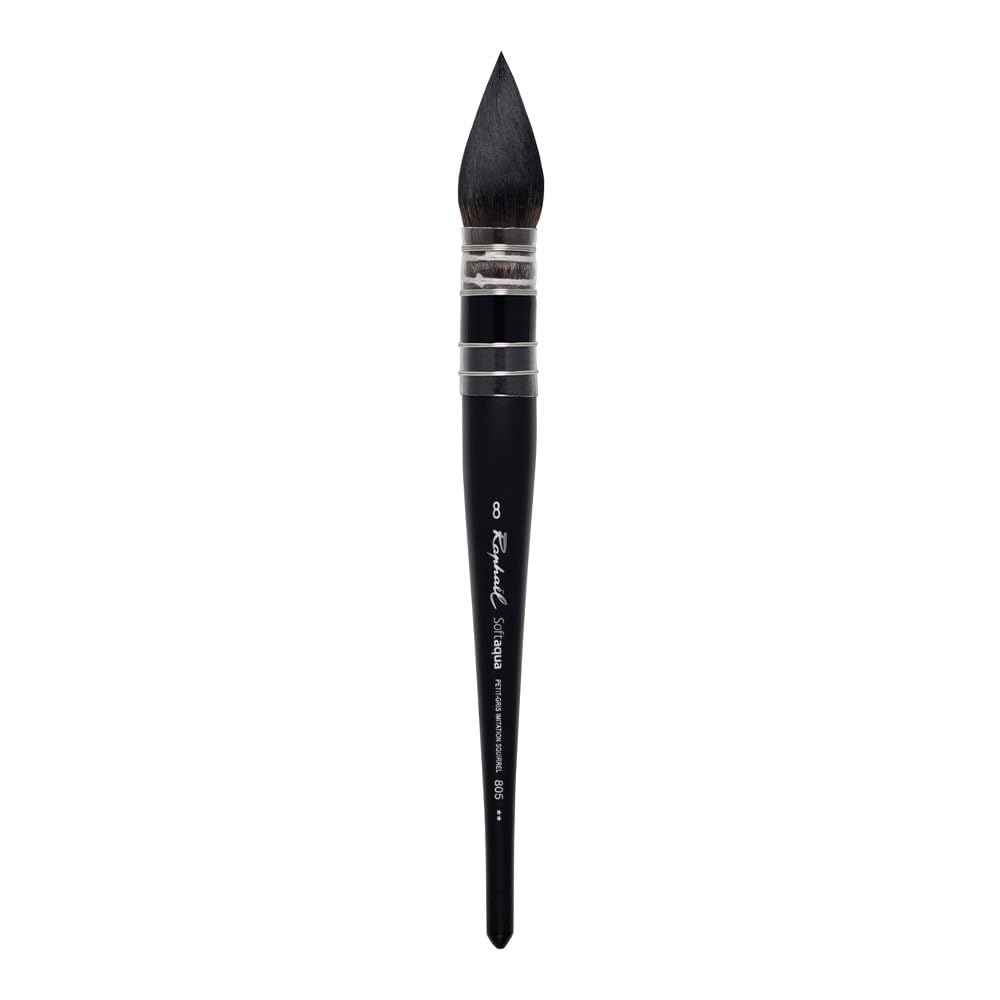 Raphael Soft Aqua Brushes - Quills - Size 8 : Amazon.de: Spielzeug