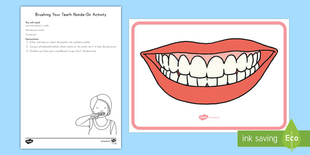 FREE Brushing Your Teeth Activity Printable | Dental Health