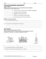 How Do Bryophytes Reproduce? Biology Printable (Grades 6-12 ...