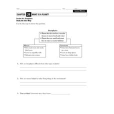 Bryophytes Worksheet for 9th - 12th Grade | Lesson Planet
