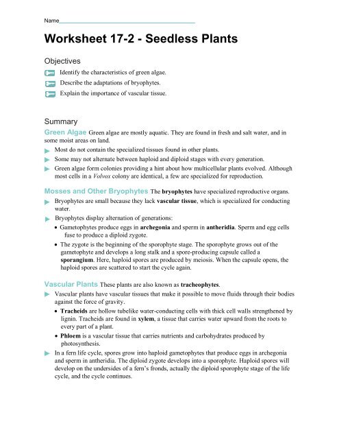 Worksheet 17-2 Seedless Plants