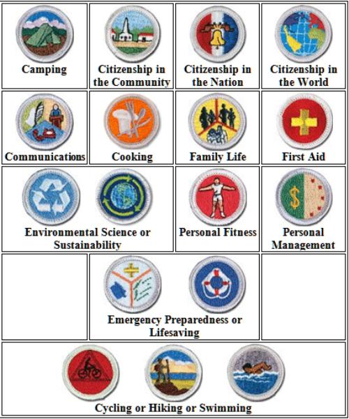Special Merit Badge Counselor Requirements