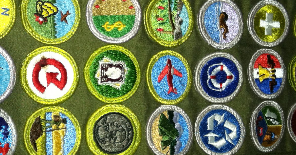 bsa merit badge requirements