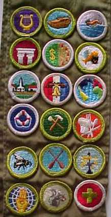 bsa merit badge sash