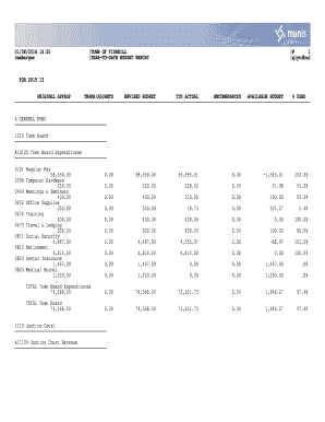 38+ Free Editable Budget Report Templates in MS Word [DOC] | pdfFiller