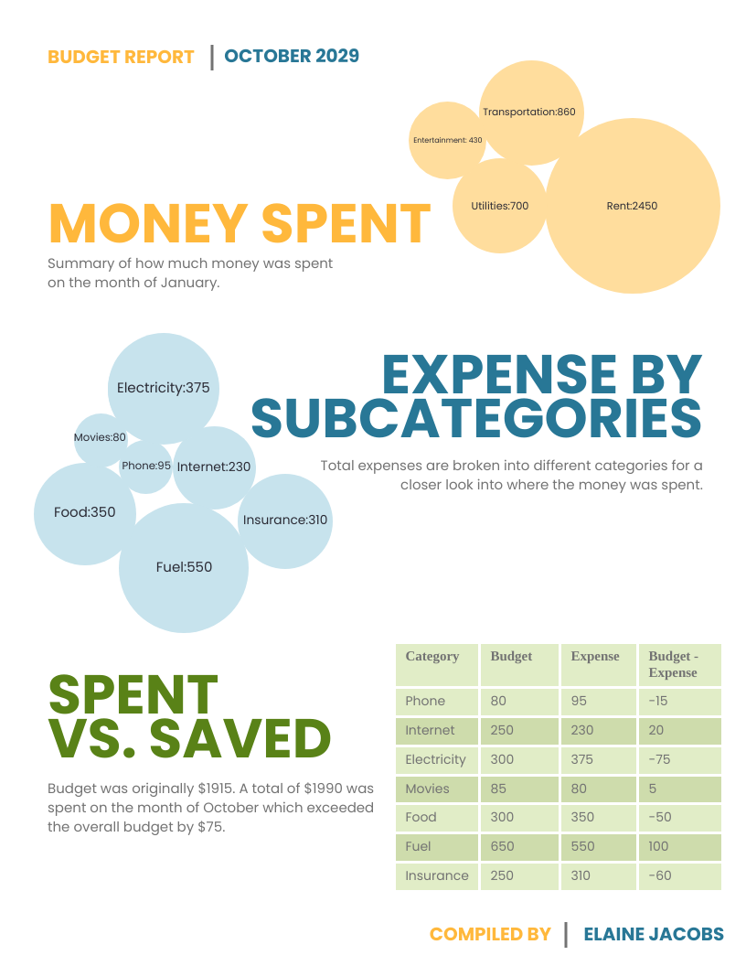 Budget Report - Venngage