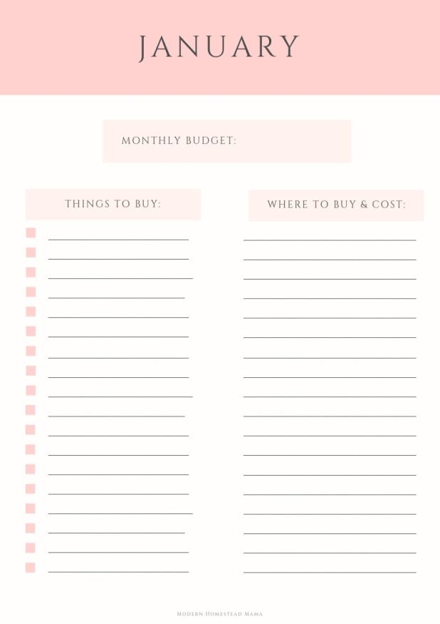 budgeting for baby worksheet