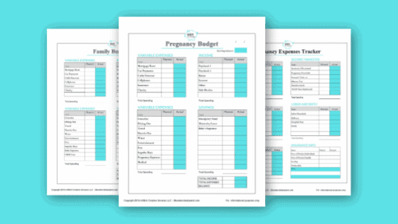 budgeting for baby worksheet