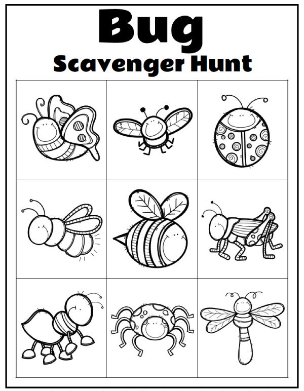 Printable Preschool Bug Activities For Kids Bugs Preschool 