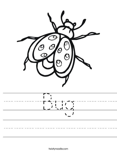 Bug Worksheet - Twisty Noodle