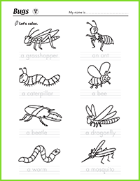 Bugs Coloring Worksheet | Maple Leaf Learning Library