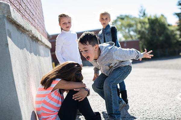 bullying in schools