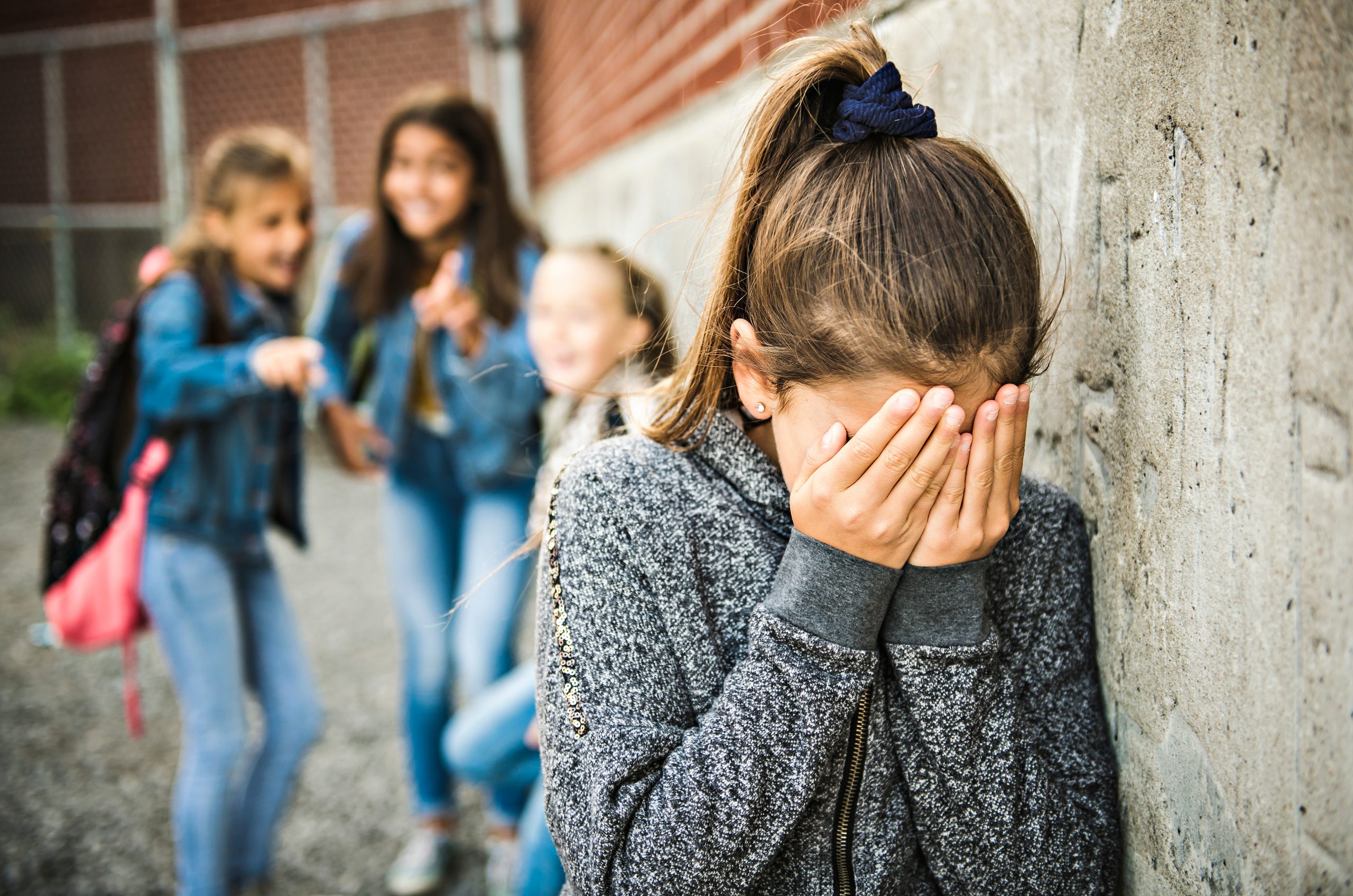 bullying in schools