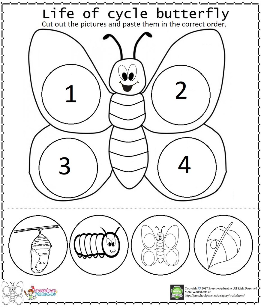 Foldable Butterfly Life Cycle Printable   UK