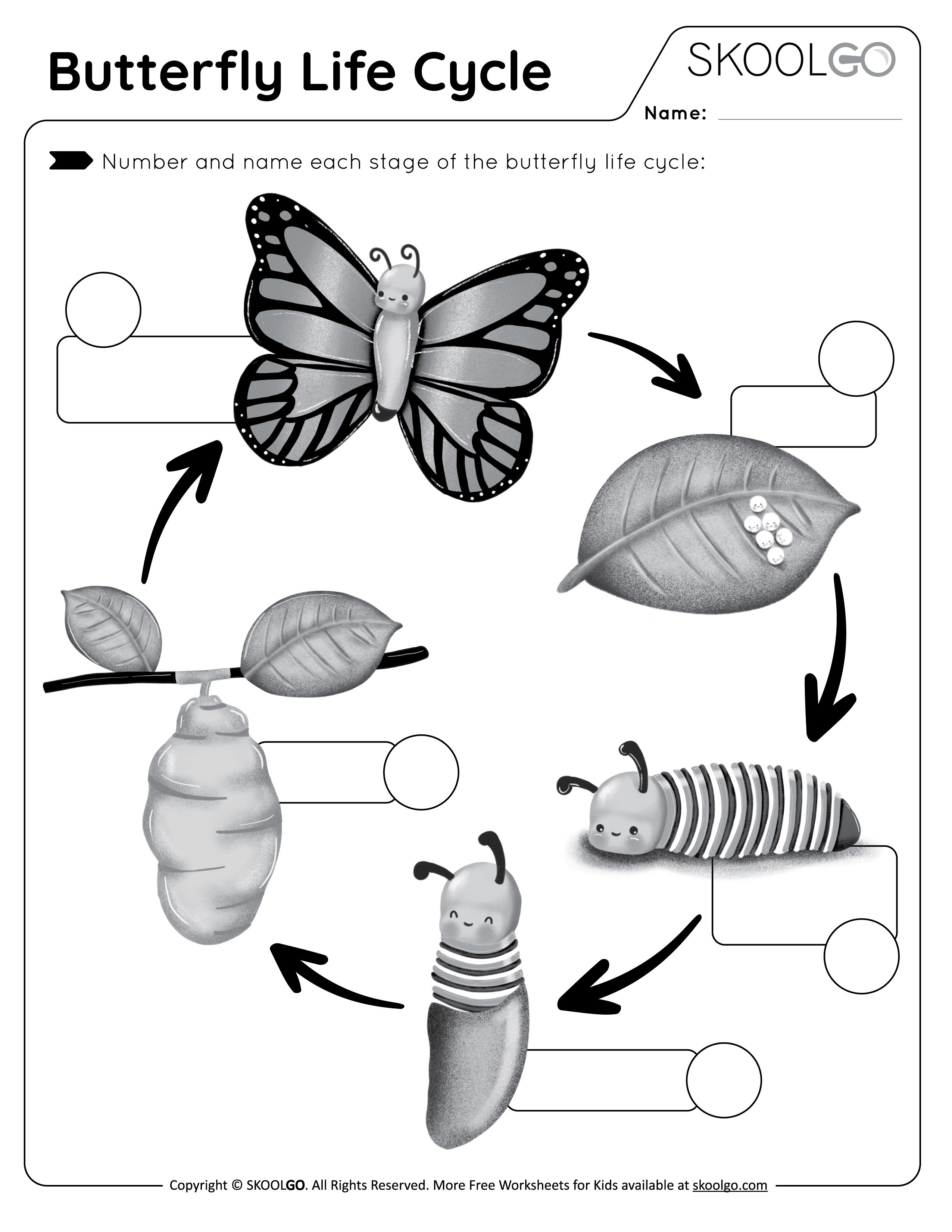 Preschool Butterfly Life Cycle Worksheet Discount | www ...