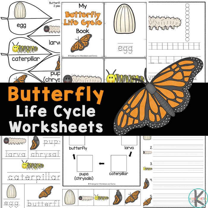 ? Life Cycle of a Butterfly with FREE Printable Worksheets