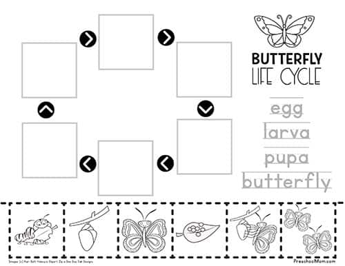 Life Cycle of a Butterfly Tracing Worksheet - Raising Hooks