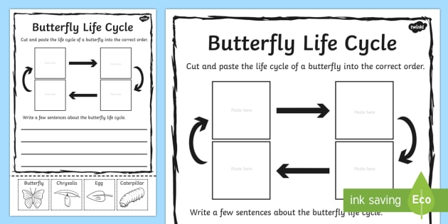 Butterfly Life Cycle Worksheet Bundle (Free Printables)