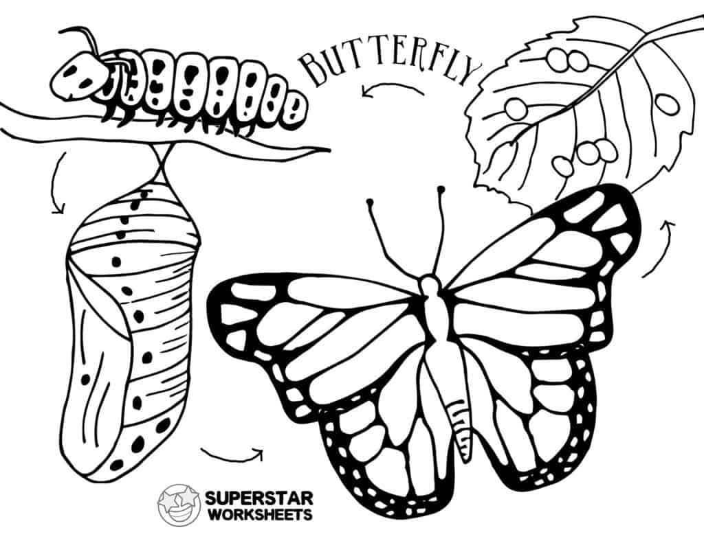 butterfly worksheet for kindergarten
