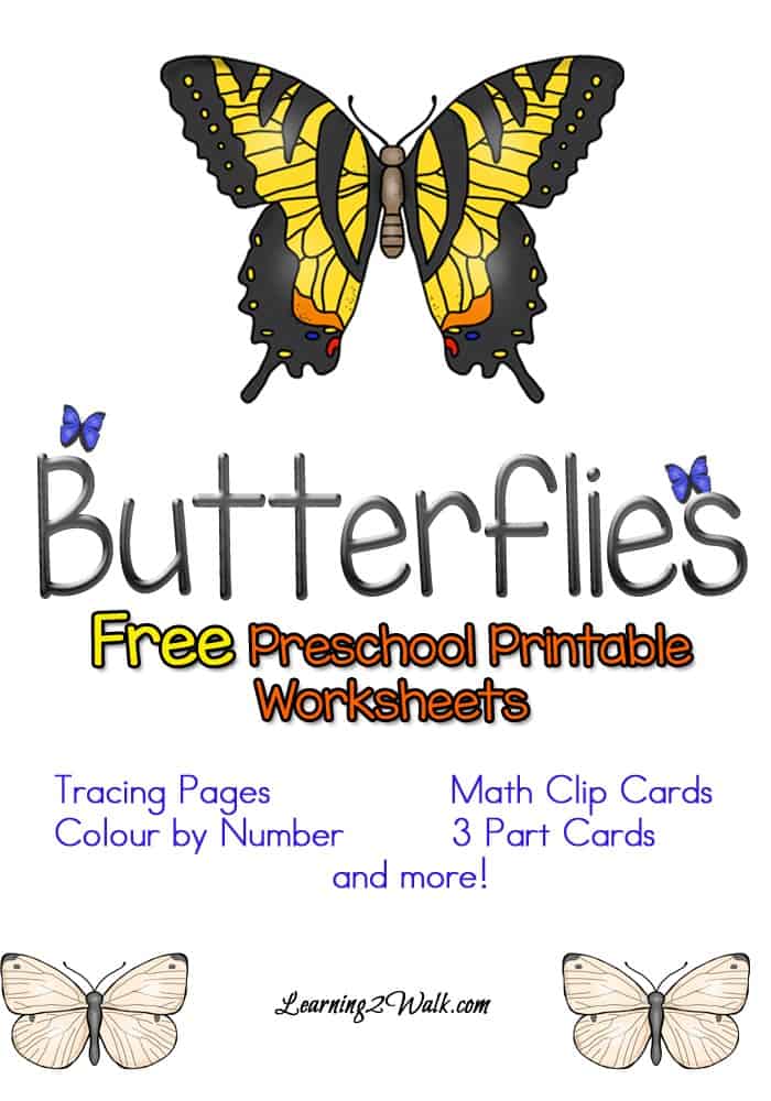 Butterfly Life Cycle Worksheet