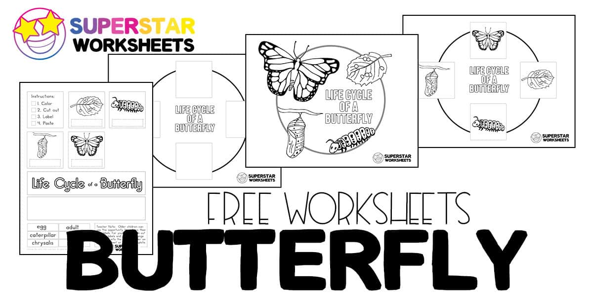 butterfly worksheet for kindergarten