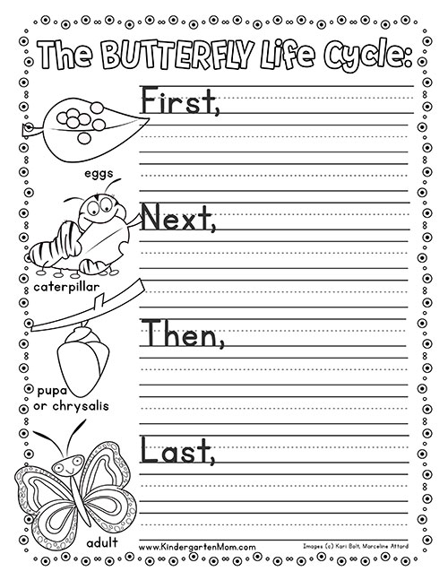 butterfly worksheet for kindergarten
