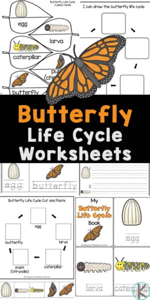 Free Kindergarten Alphabetical Order Worksheet