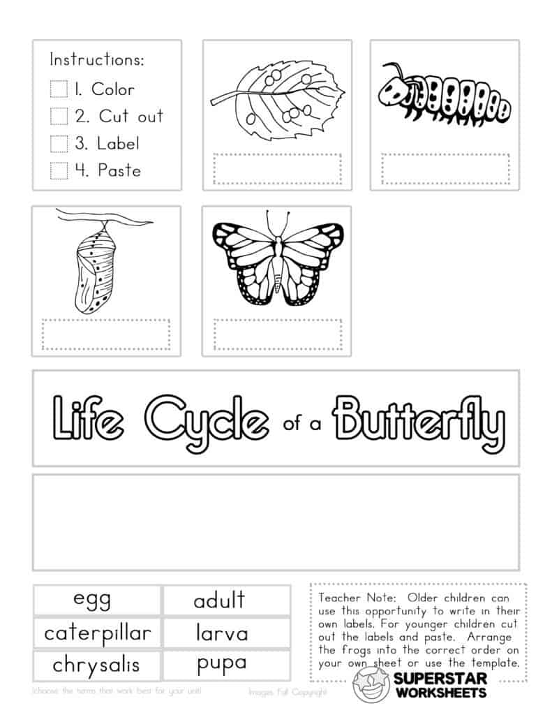butterfly worksheet for kindergarten