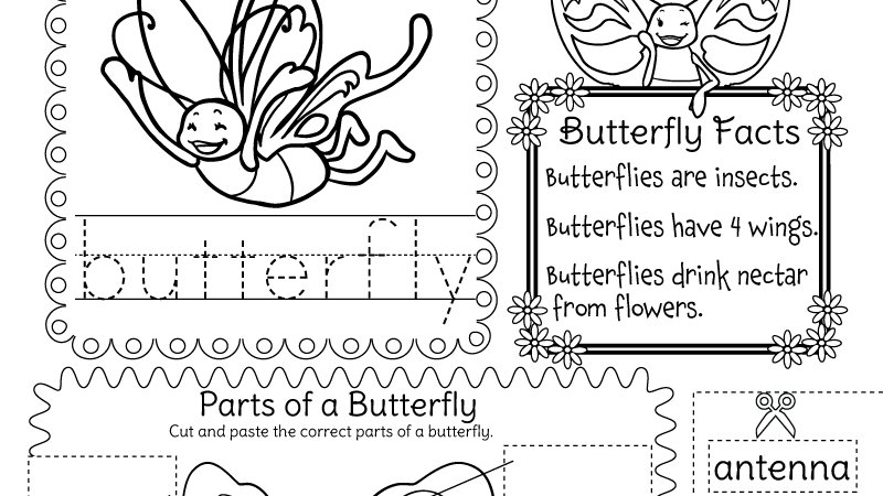 butterfly worksheet for kindergarten