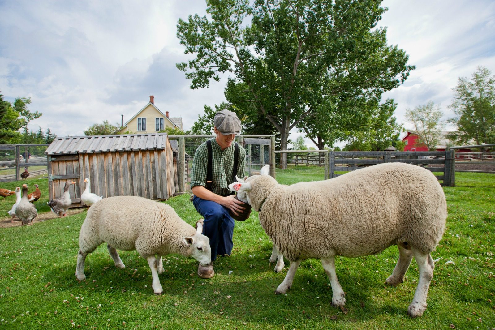 How to snag Calgary coupons for the citys top attractions