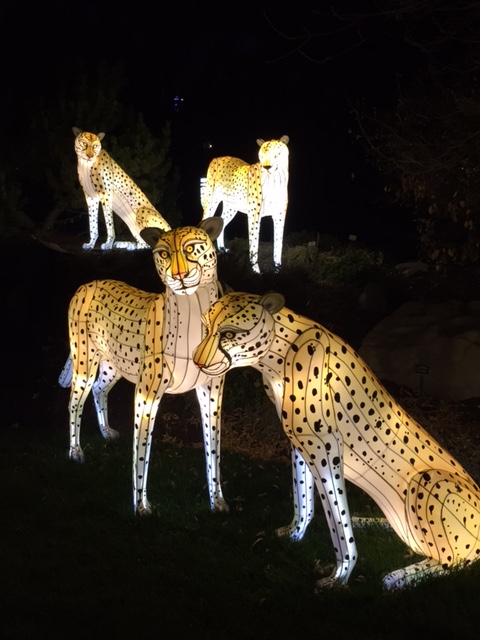 calgary zoo printable coupons 2018