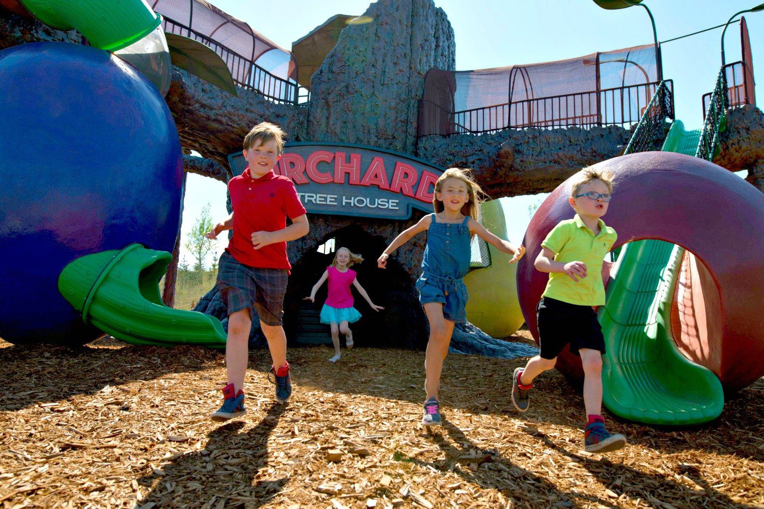 Calgary Attractions Coupons: How To Get Your Discount!