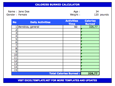 Calorie Tracker Spreadsheet » The Spreadsheet Page