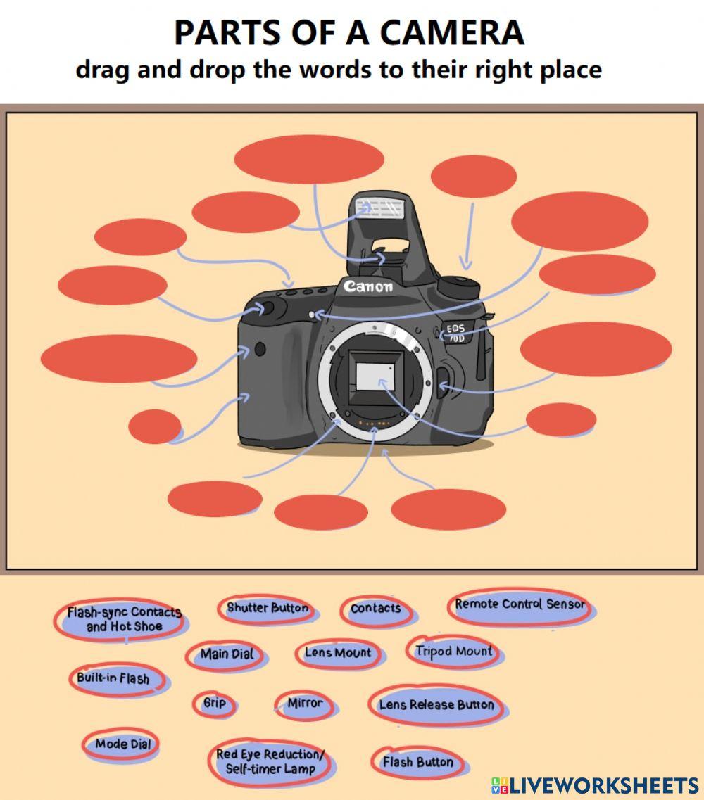 Parts of a Camera worksheet Live Worksheets Worksheets Library