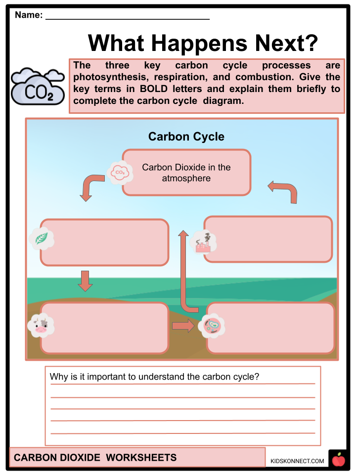 carbon cycle comprehension worksheet answers