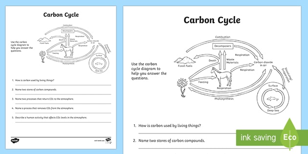 carbon cycle worksheet high school