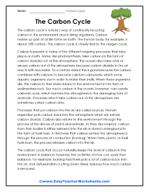 Carbon Cycle Worksheets