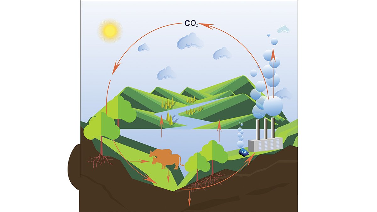 carbon cycle worksheet high school