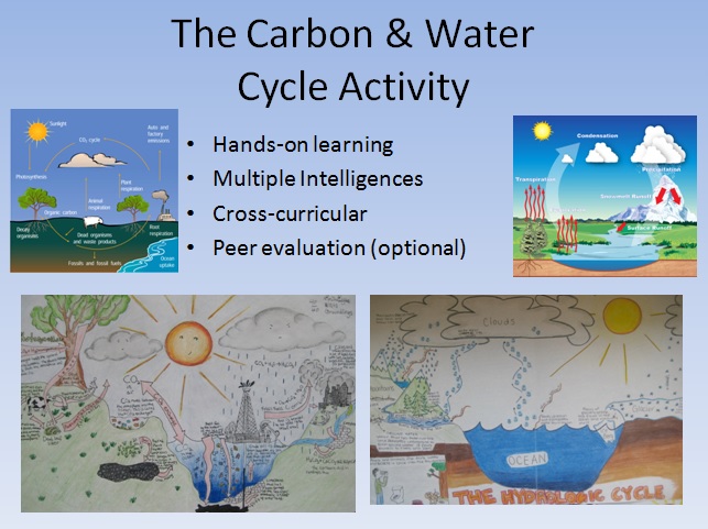 Water and Carbon Cycle Diagram Activity - Teach With Fergy