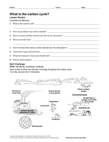 What Is the Carbon Cycle? Science Printable (6th-12th Grade ...