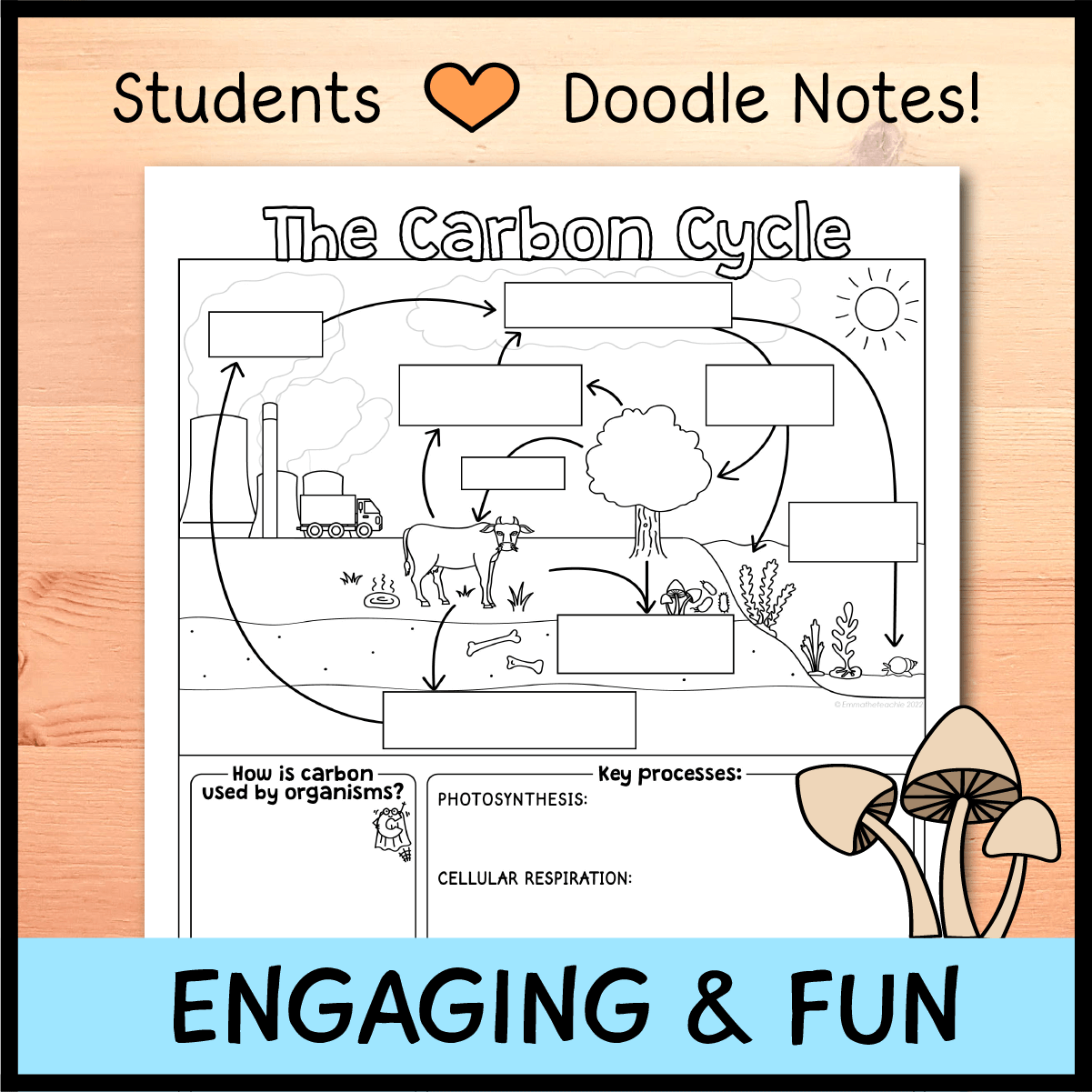 Biogeochemical Cycles Doodle Notes - Worksheets Library